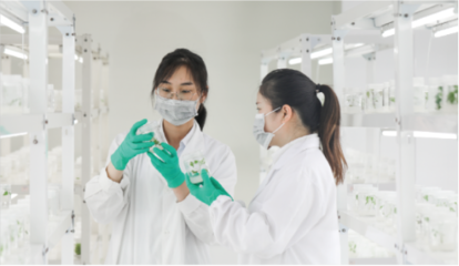 科技创新引领转型 寿光如何以生物基材料技术研发撬动高质量发展