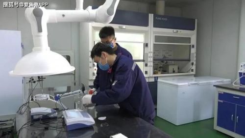 高新硅基与生物基材料齐头并进 兴洋科技项目立项与研发新突破